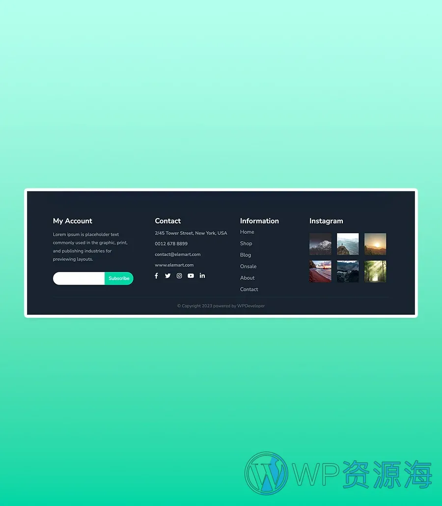快速建站Gutenberg网站模板_一键导入快速建站插图11-WP资源海 ElePharma Footer Section For Gutenberg
