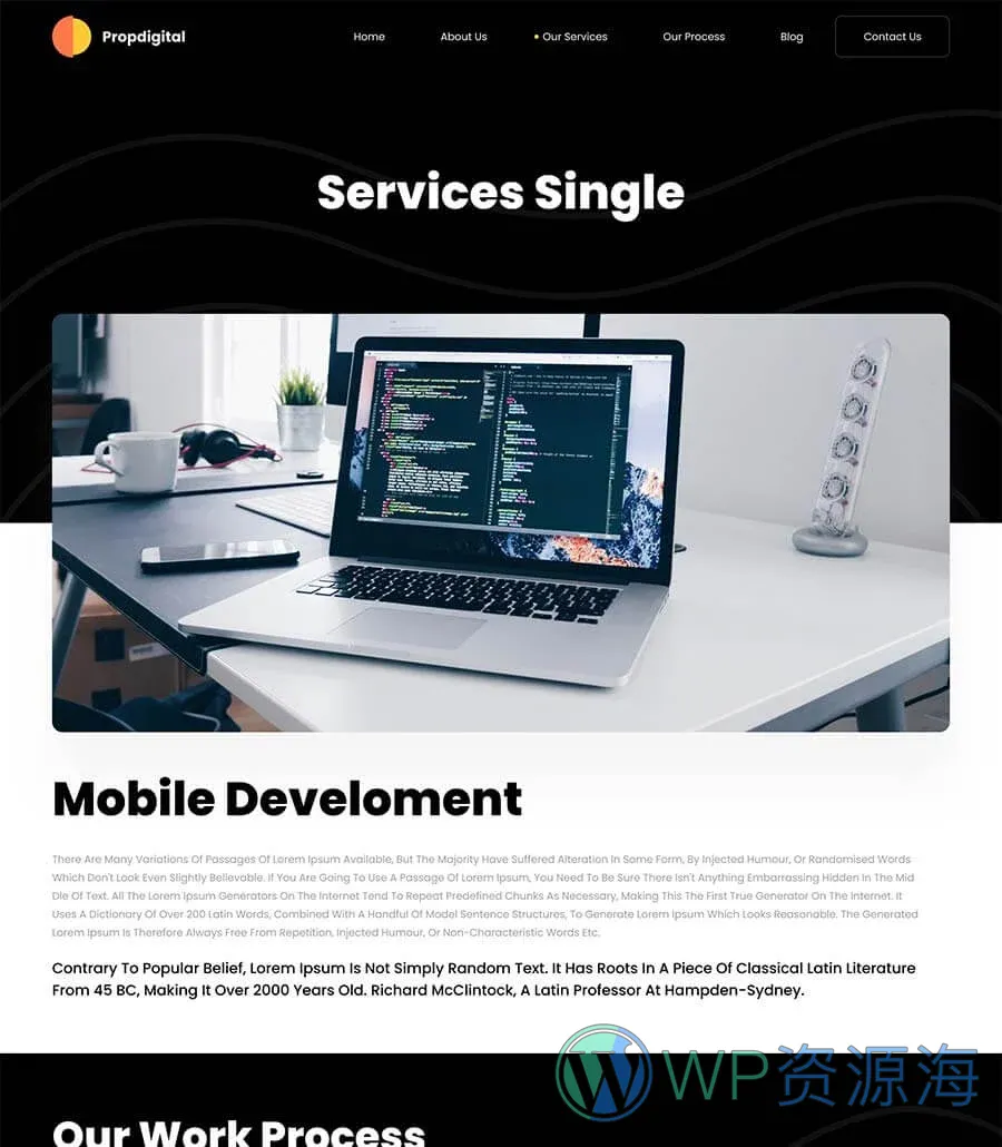 网页开发机构Elementor网站模板_一键导入快速建站插图2-WP资源海 PropDigital Service Details Page