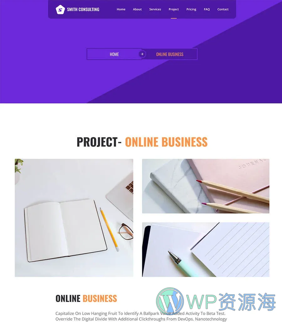 Smith Consulting Project Details Page
