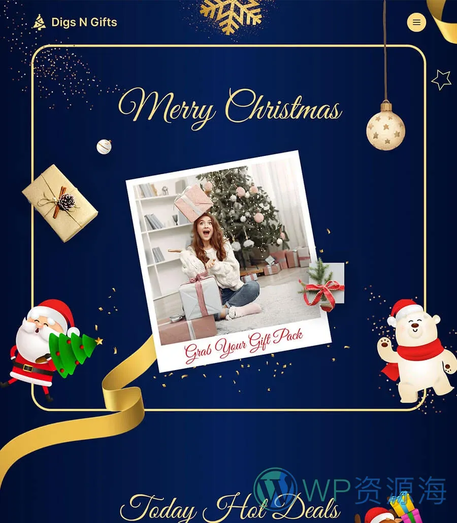 圣诞礼品店Elementor网站模板_一键导入快速建站插图1-WP资源海 Digs N Gifts Home Page
