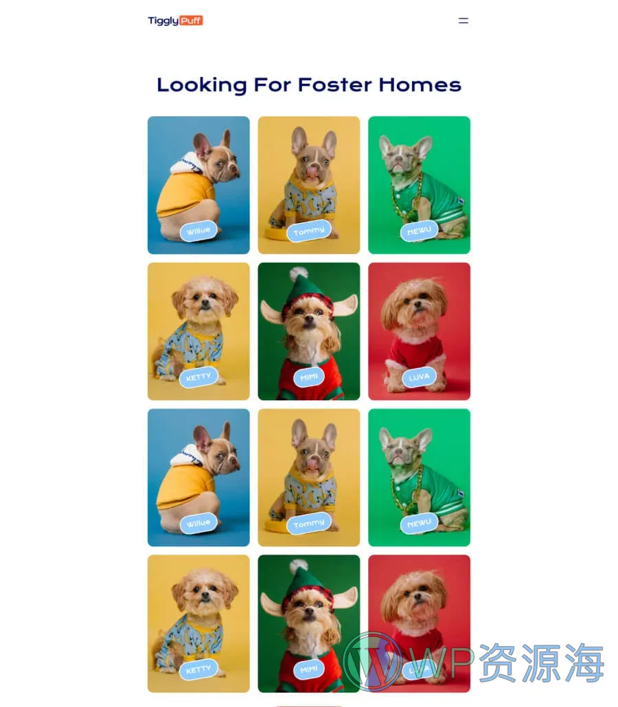 宠物领养服务Gutenberg网站模板_一键导入快速建站插图5-WP资源海 TigglyPuff Browse Pets Page For Gutenberg