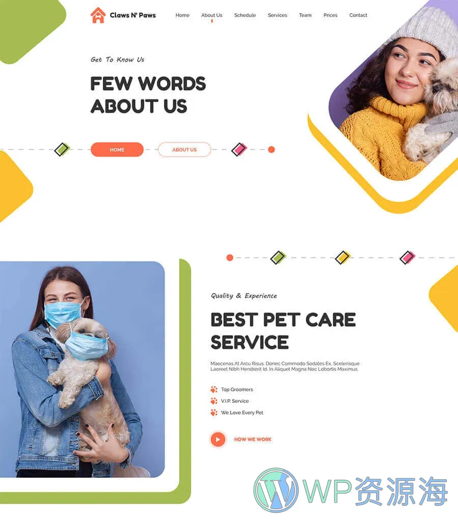 宠物服务Elementor网站模板_一键导入快速建站插图3-WP资源海 Claws & Paws About Page