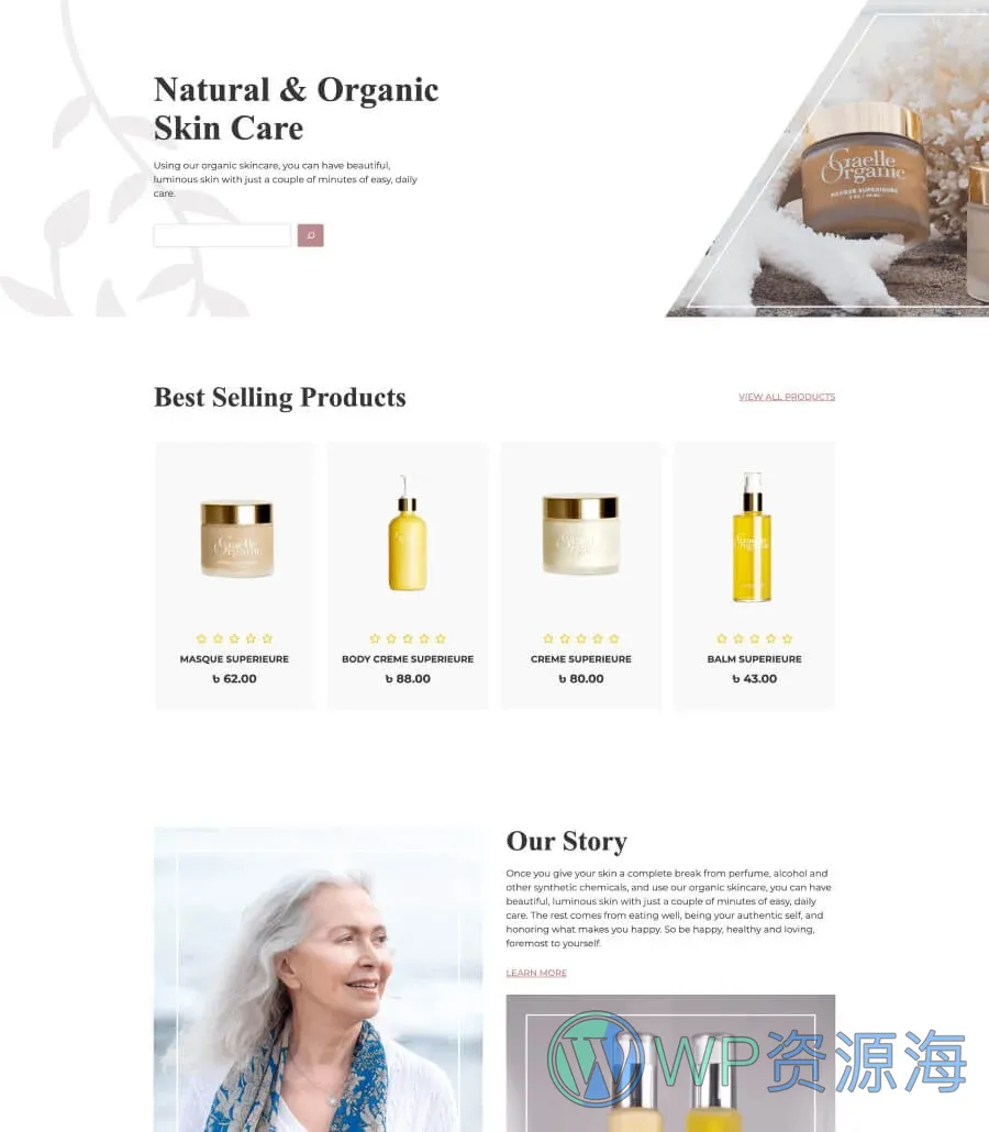 Skinsho Landing Page For Gutenberg