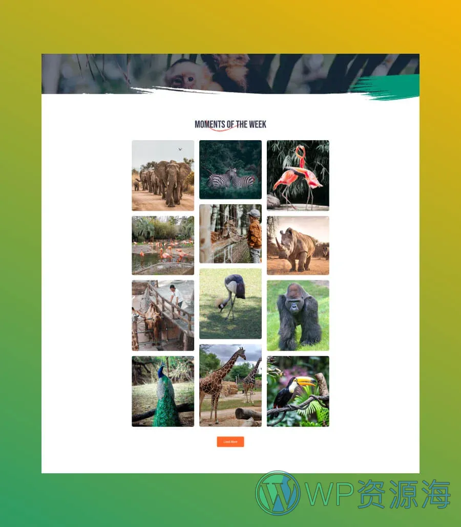 野生动物园 版Gutenberg网站模板_一键导入快速建站插图6-WP资源海 Zoo Park Gallery Page For Gutenberg