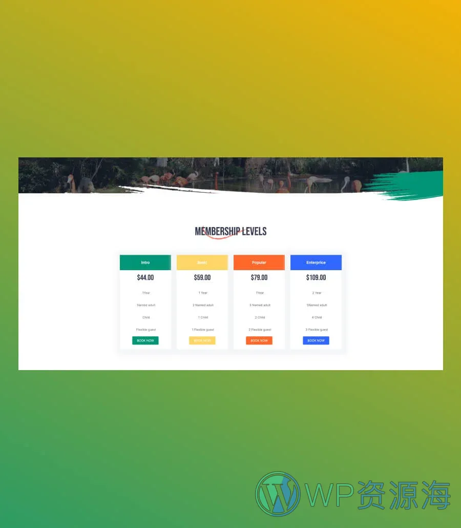 野生动物园 版Gutenberg网站模板_一键导入快速建站插图8-WP资源海 Zoo Park Pricing Section For Gutenberg