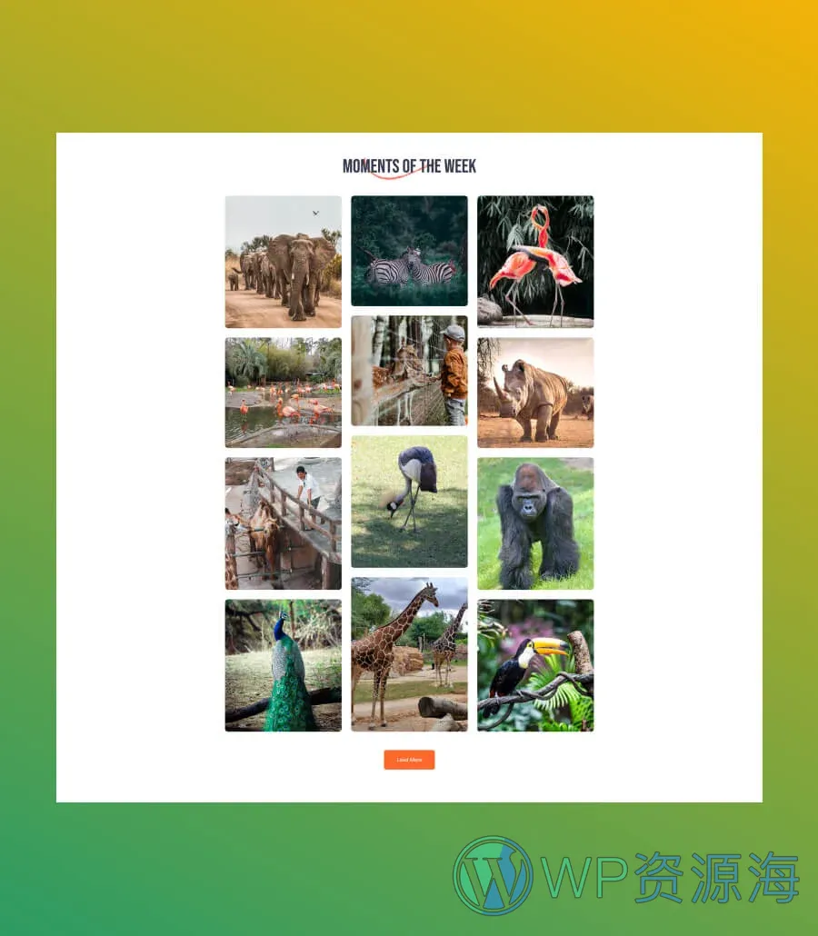 野生动物园 版Gutenberg网站模板_一键导入快速建站插图9-WP资源海 Zoo Park Gallery Section For Gutenberg
