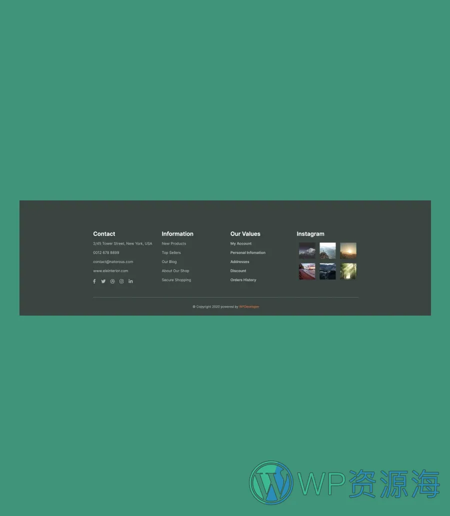 野生动物园 版Gutenberg网站模板_一键导入快速建站插图11-WP资源海 Zoo Park Footer Section For Gutenberg