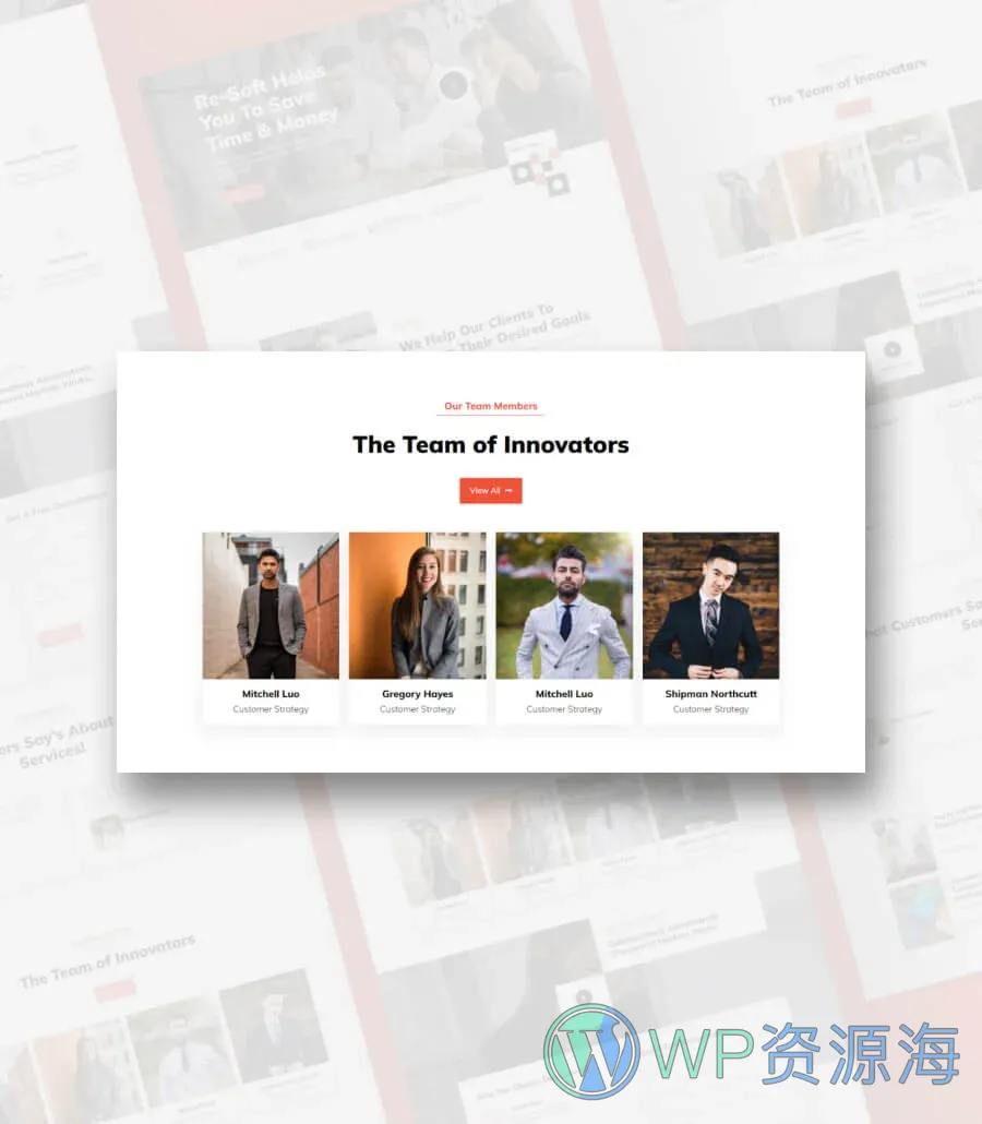 金融服务机构Gutenberg网站模板_一键导入快速建站插图7-WP资源海 Re-Soft Team Section For Gutenberg