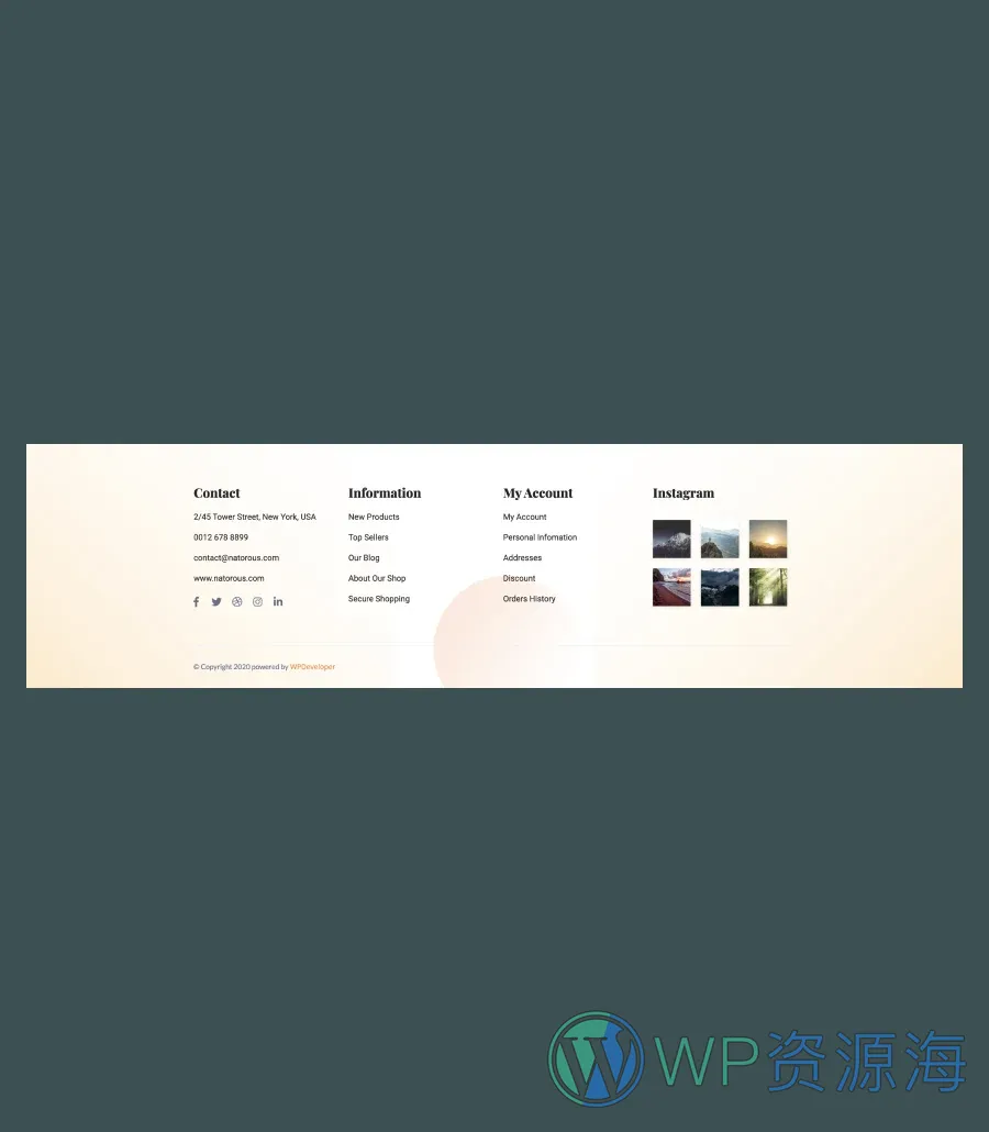 烹饪课程Gutenberg网站模板_一键导入快速建站插图9-WP资源海 Bitesize Footer Section For Gutenberg