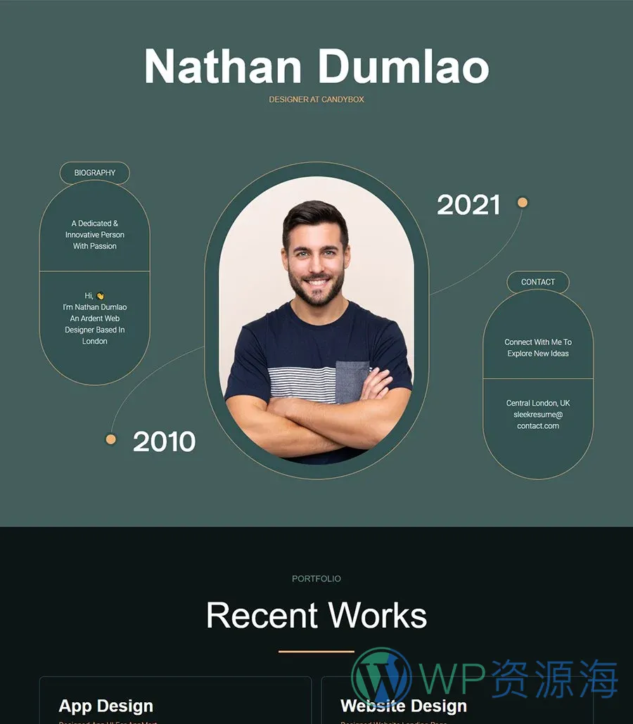 个人简历Gutenberg网站模板_一键导入快速建站插图1-WP资源海 SleekResume Home Page For Gutenberg