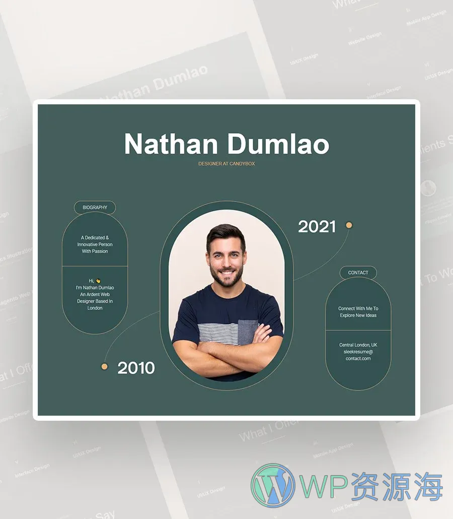个人简历Gutenberg网站模板_一键导入快速建站插图4-WP资源海 SleekResume Hero Section For Gutenberg