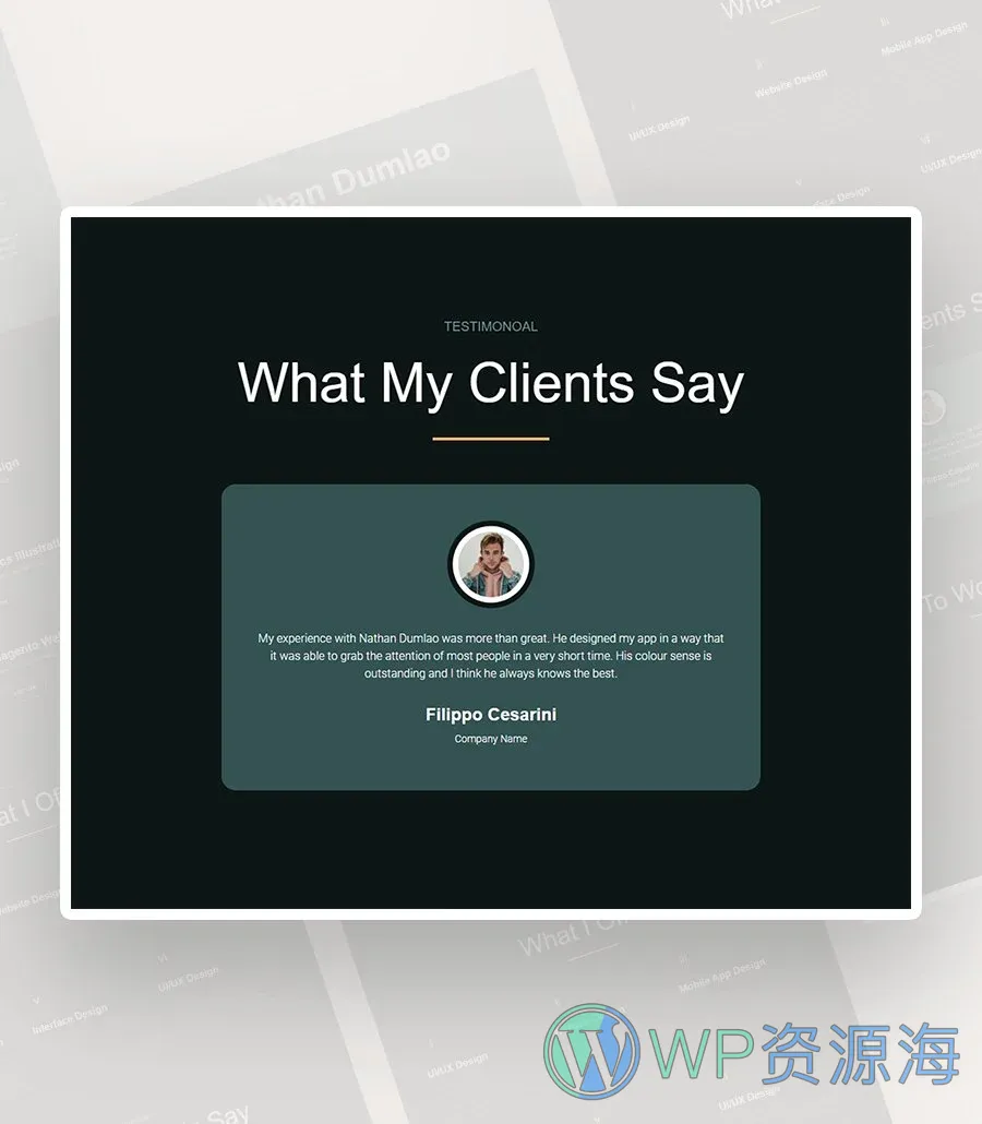 个人简历Gutenberg网站模板_一键导入快速建站插图5-WP资源海 SleekResume Testimonial Section For Gutenberg