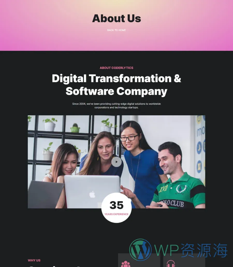 软件公司Gutenberg网站模板_一键导入快速建站插图2-WP资源海 Coderlytics About Page For Gutenberg