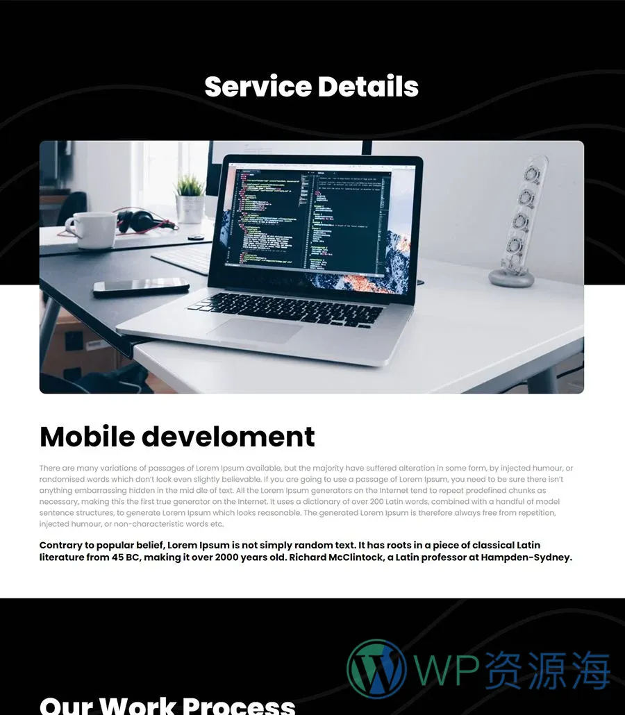 快速建站Gutenberg网站模板_一键导入快速建站插图2-WP资源海 PropDigital Service Details Page For Gutenberg