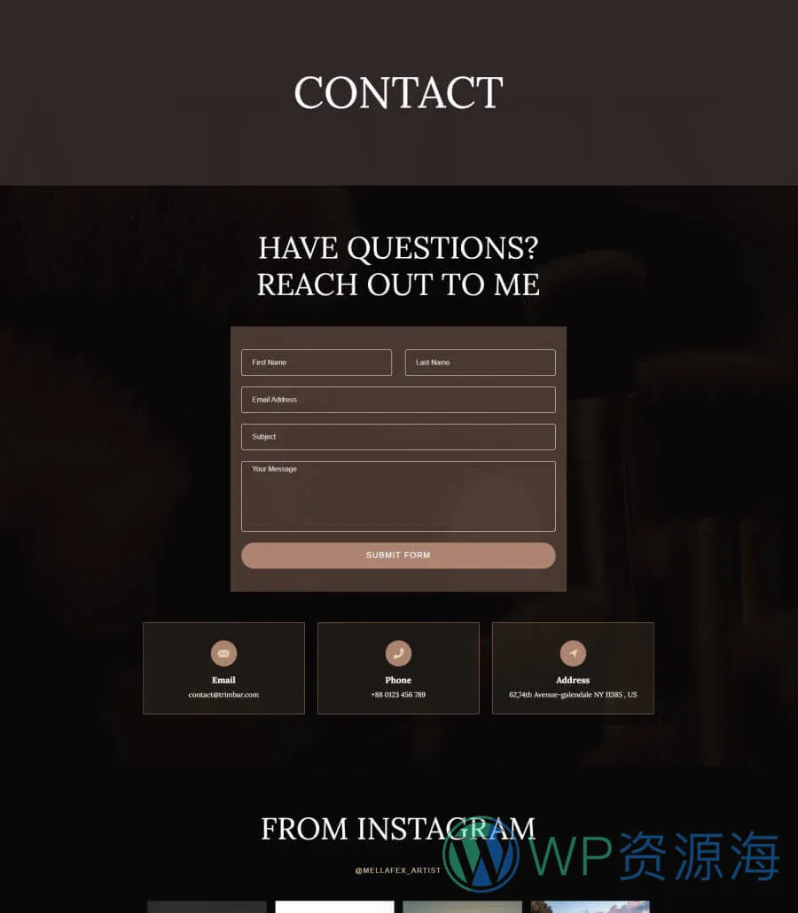 美妆艺术家Gutenberg网站模板_一键导入快速建站插图2-WP资源海 Mellafex Contact Page For Gutenberg