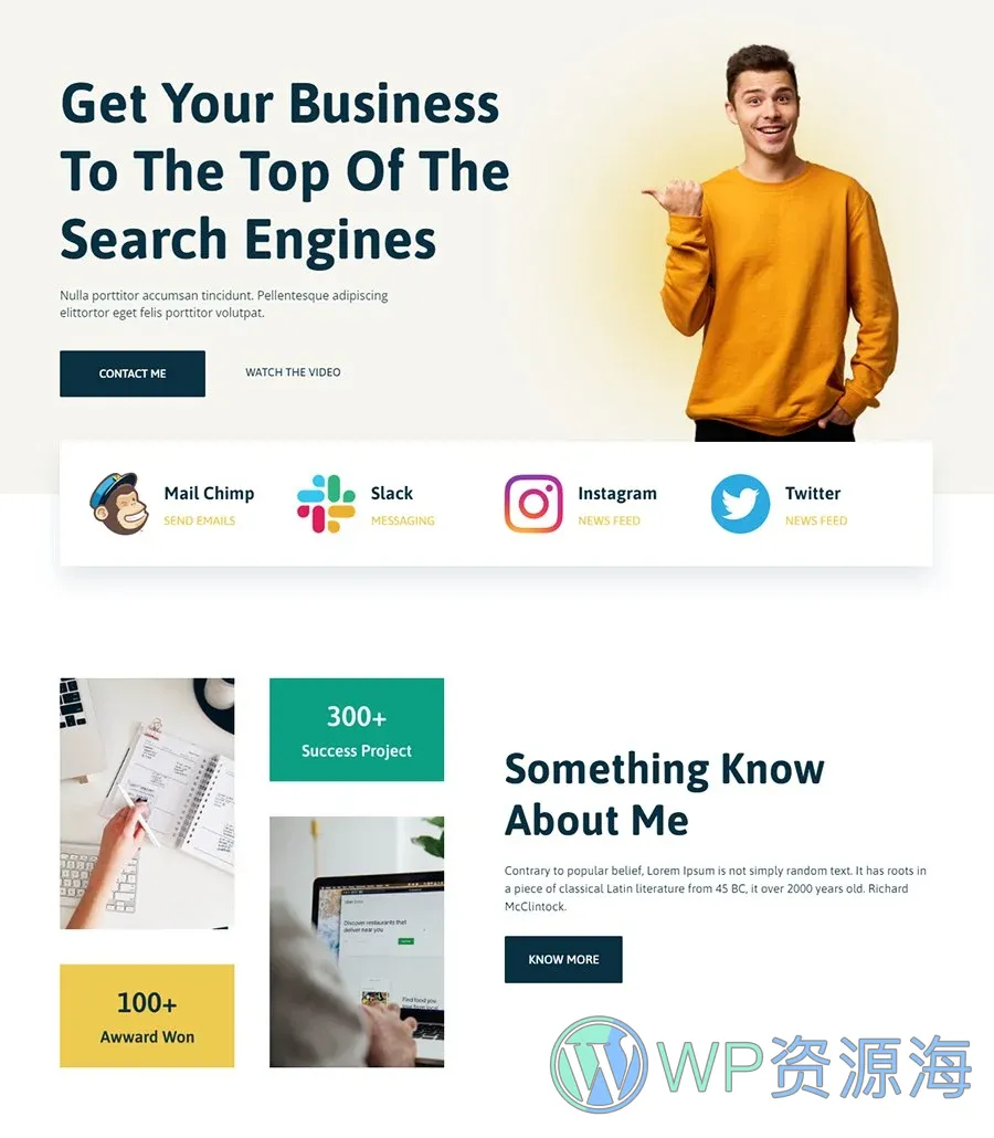 个人 SEO 专家Gutenberg网站模板_一键导入快速建站插图1-WP资源海 SEO Xpert Home Page For Gutenberg