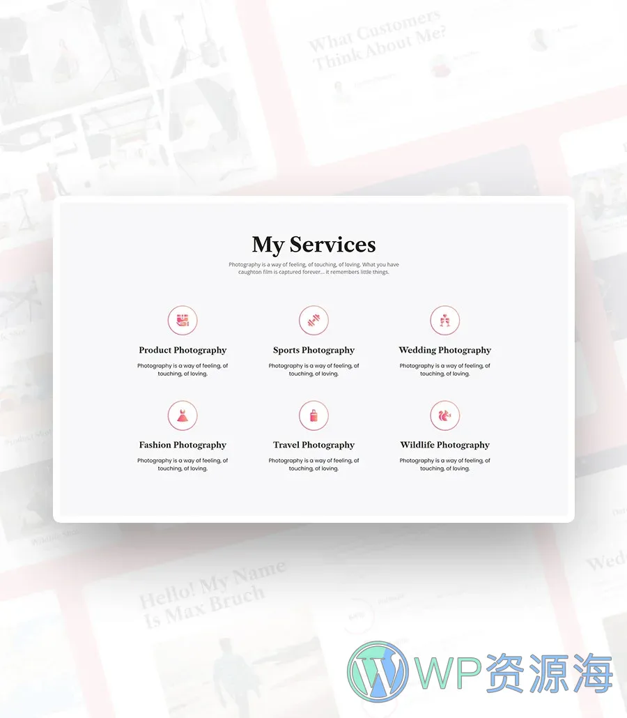 摄影Gutenberg网站模板_一键导入快速建站插图8-WP资源海 Max Boom Service Section For Gutenberg