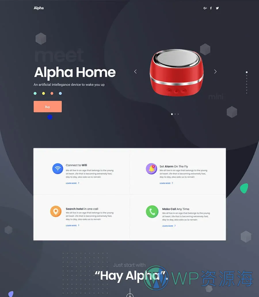 Alpha Footer Section