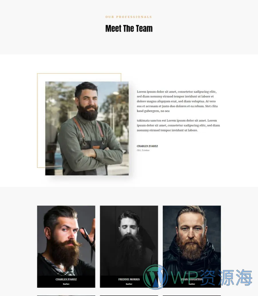 Trim Bar Team Page For Gutenberg