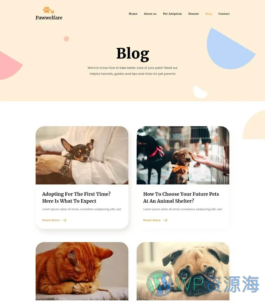 动物福利Elementor网站模板_一键导入快速建站插图4-WP资源海 Pawwelfare Blog Page