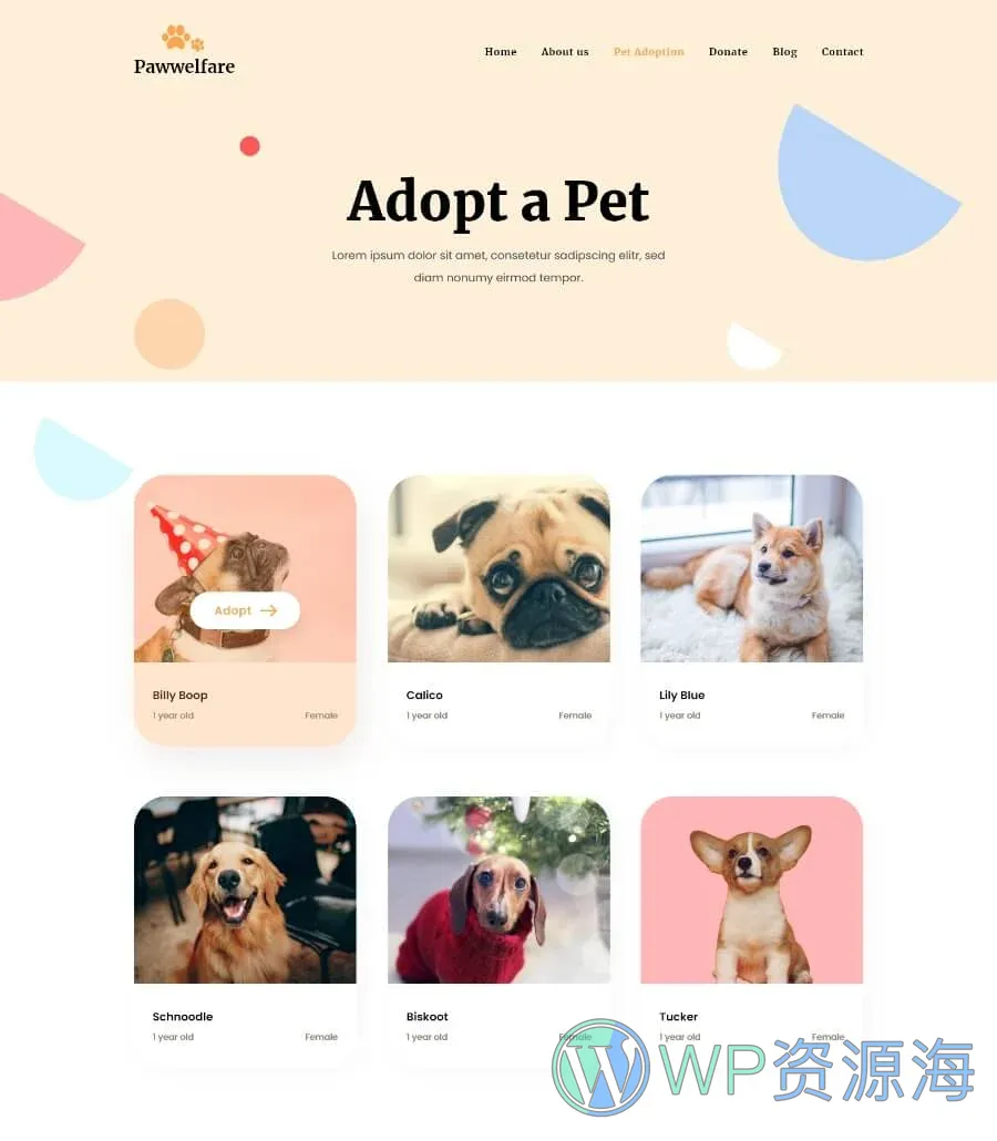 动物福利Elementor网站模板_一键导入快速建站插图6-WP资源海 Pawwelfare Adopt a Pet Page