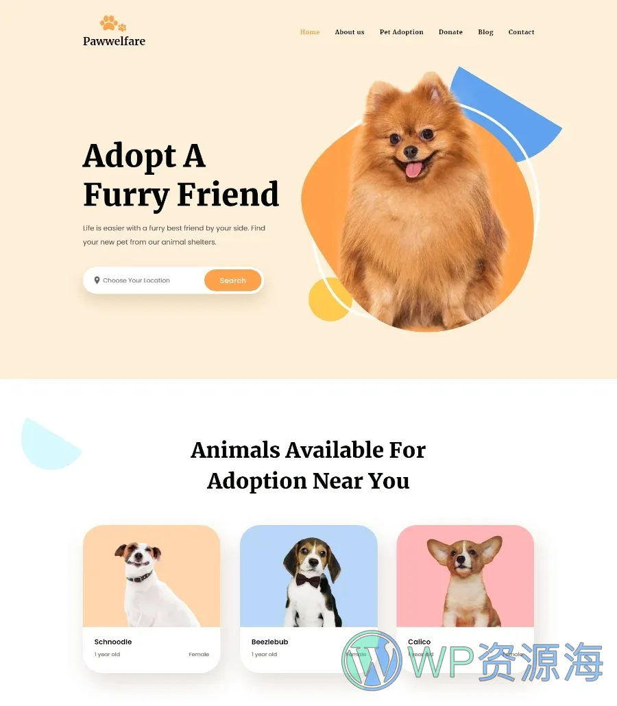 动物福利Elementor网站模板_一键导入快速建站插图9-WP资源海 Pawwelfare Footer