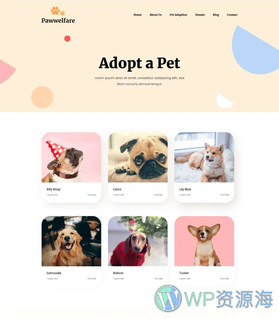 宠物服务Gutenberg网站模板_一键导入快速建站插图4-WP资源海 Pawwelfare Adopt A Pet Page For Gutenberg