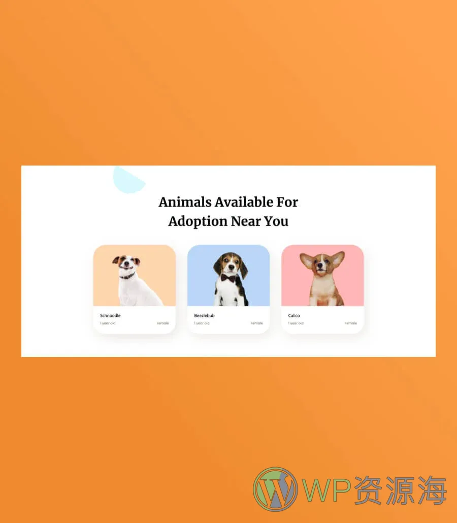 宠物服务Gutenberg网站模板_一键导入快速建站插图7-WP资源海 Pawwelfare Available Animals section For Gutenberg