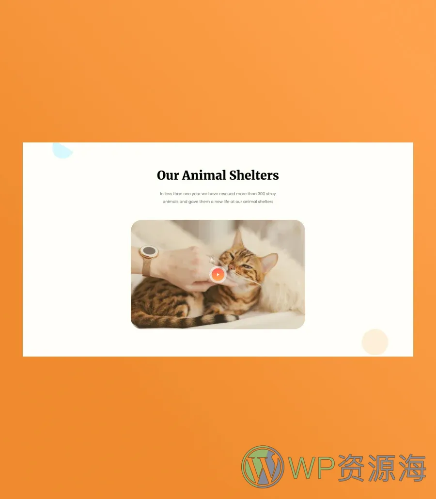 宠物服务Gutenberg网站模板_一键导入快速建站插图10-WP资源海 Pawwelfare Video Section For Gutenberg