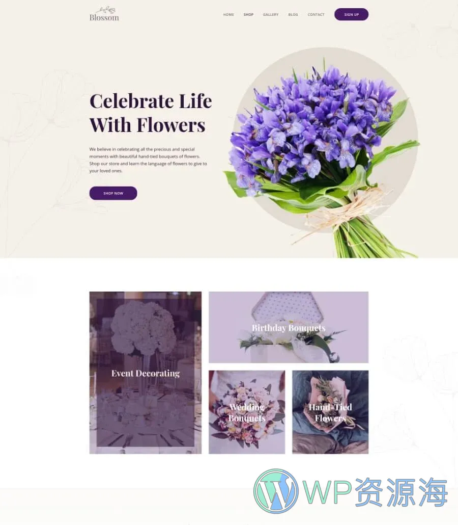 Blossom Home Page V2