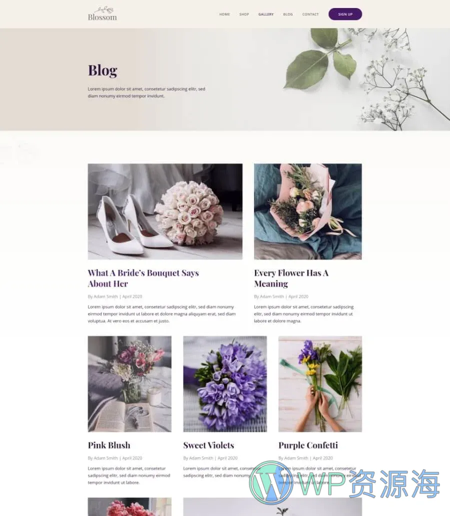Blossom Blog Page