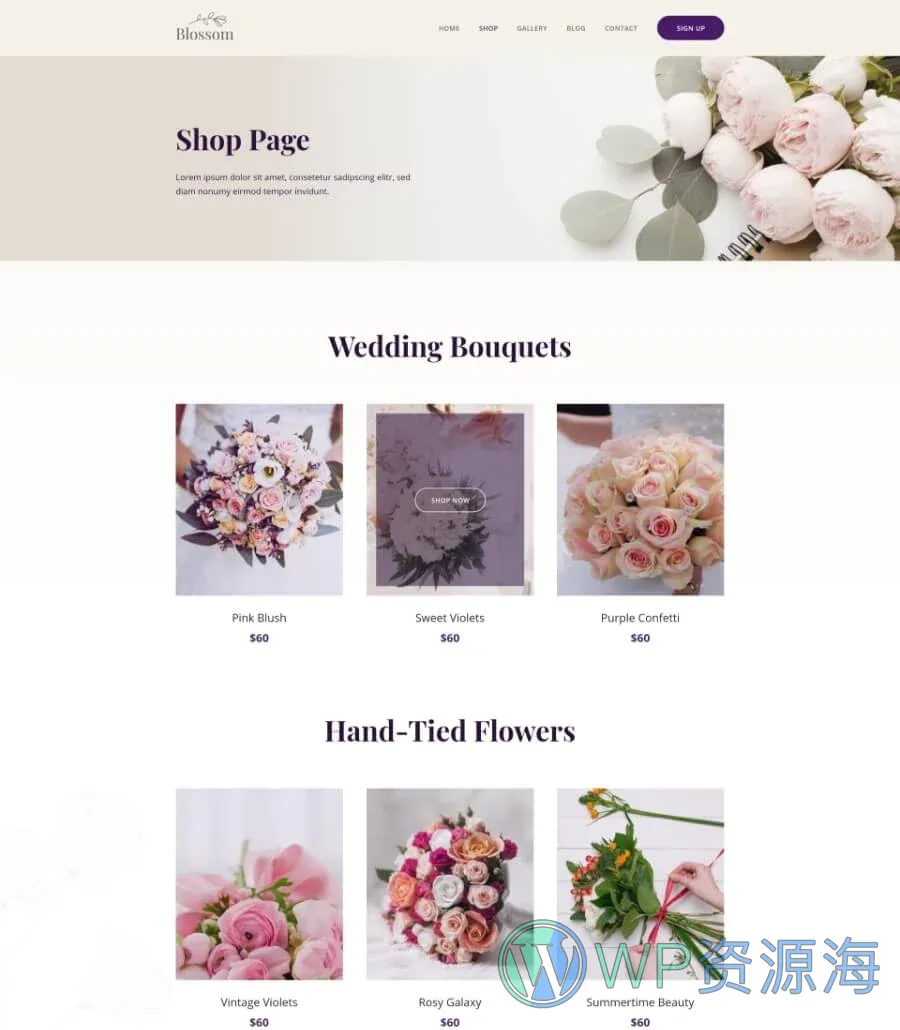 Blossom Shop Page