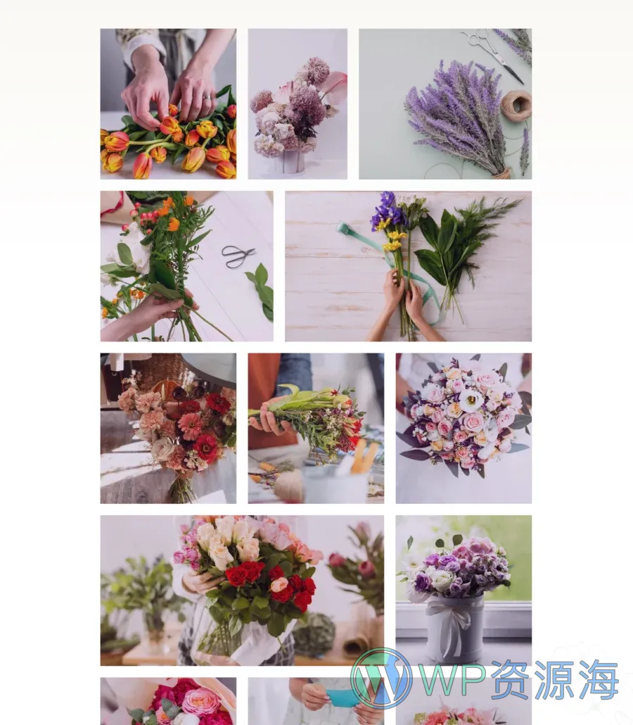 Blossom Gallery Section