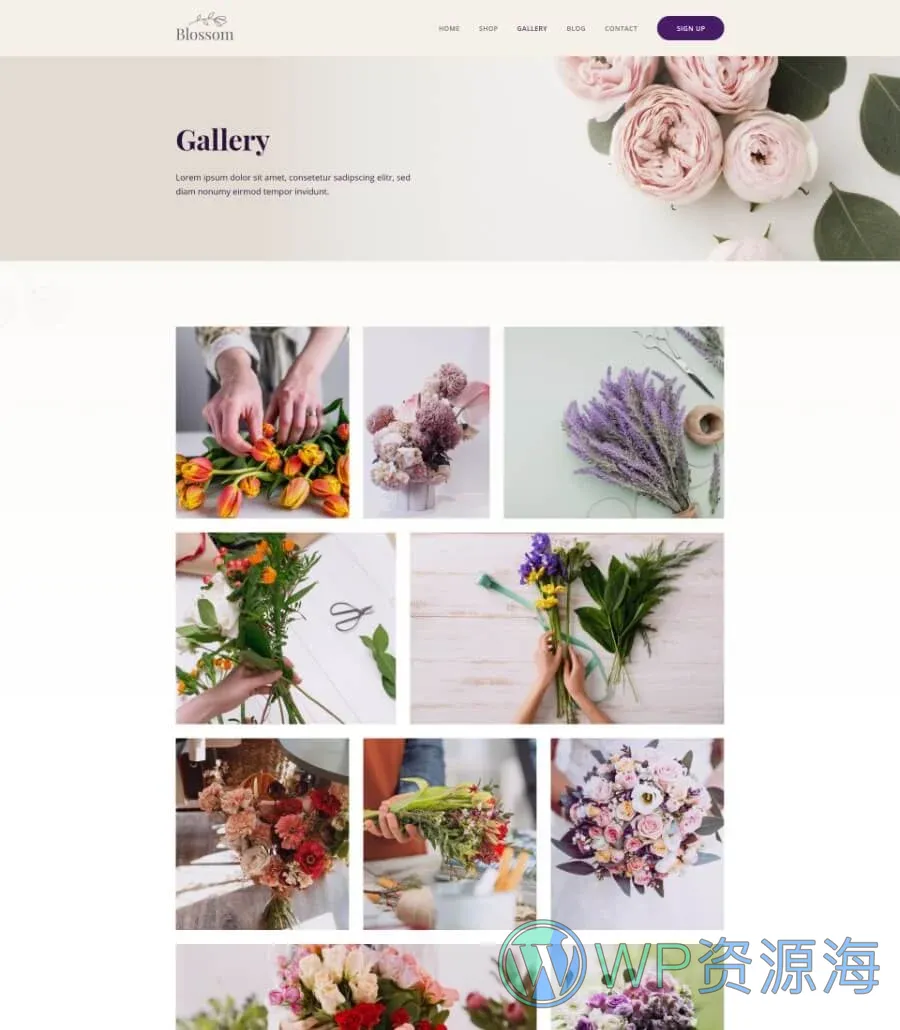 Blossom Gallery Page