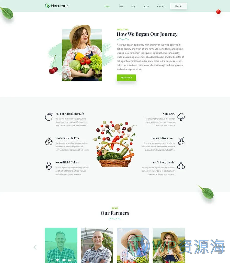 有机食品商店Elementor网站模板_一键导入快速建站插图3-WP资源海 Naturous About Page