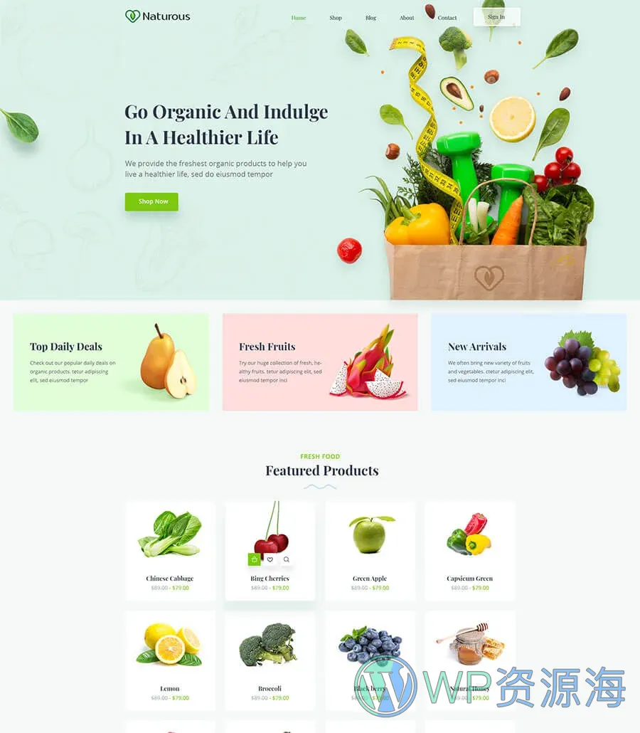 有机食品商店Elementor网站模板_一键导入快速建站插图1-WP资源海 Naturous Home Page