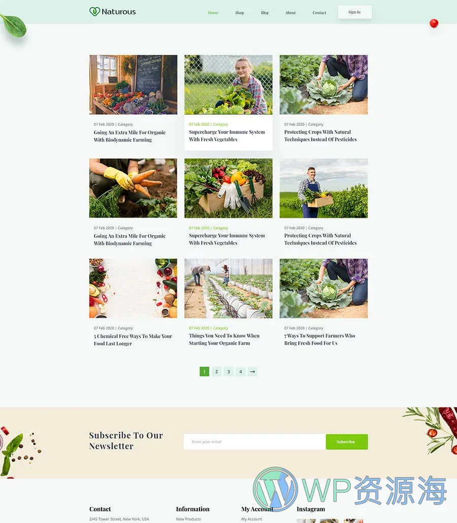 有机食品商店Elementor网站模板_一键导入快速建站插图5-WP资源海 Naturous Blog Page