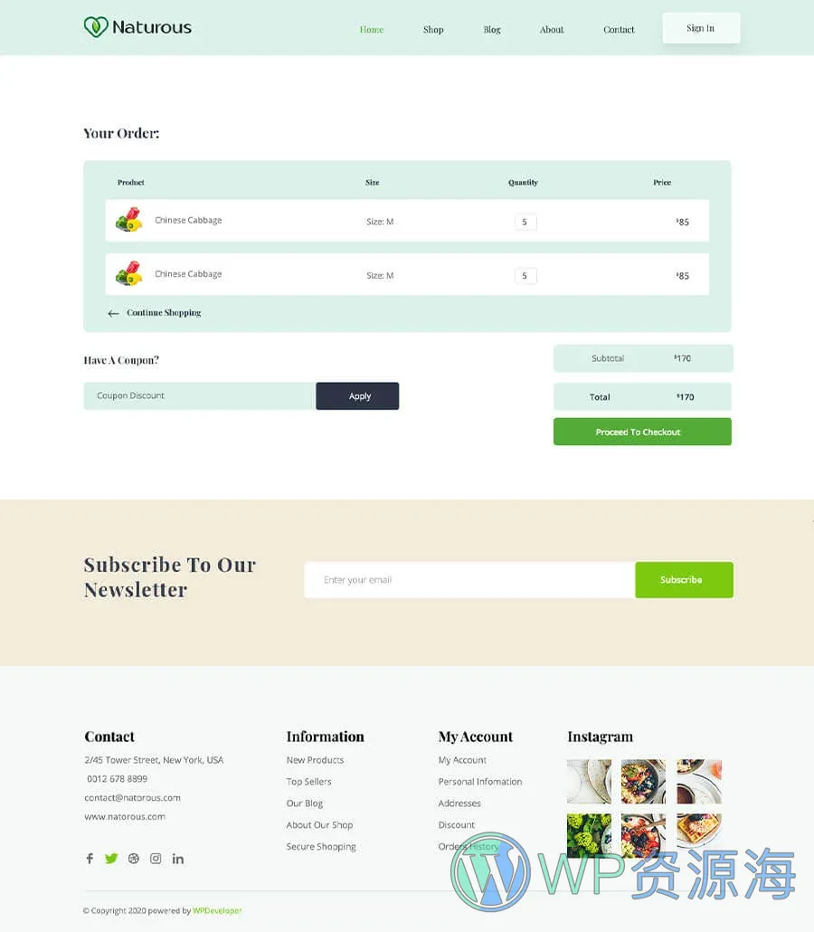 有机食品商店Elementor网站模板_一键导入快速建站插图7-WP资源海 Naturous Cart Page