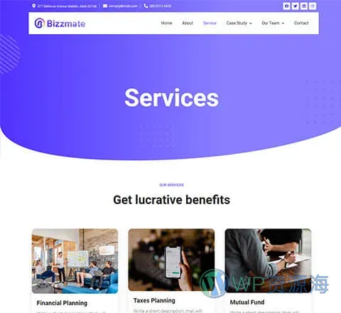 Bizzmate Agency Services Page