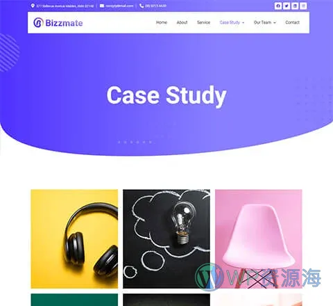 Bizzmate Agency Case Study Page