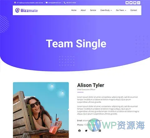 Bizzmate Agency Team Single Page