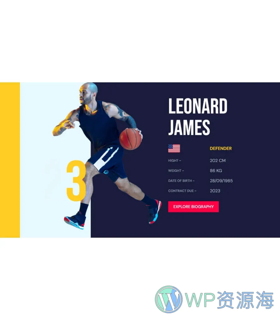 Blazers Players Profile Section For Gutenberg