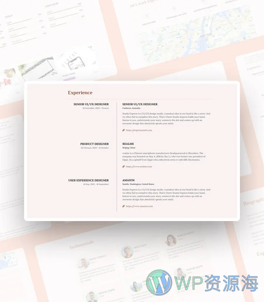 快速建站Gutenberg网站模板_一键导入快速建站插图7-WP资源海 CV Yoda Experience Section For Gutenberg