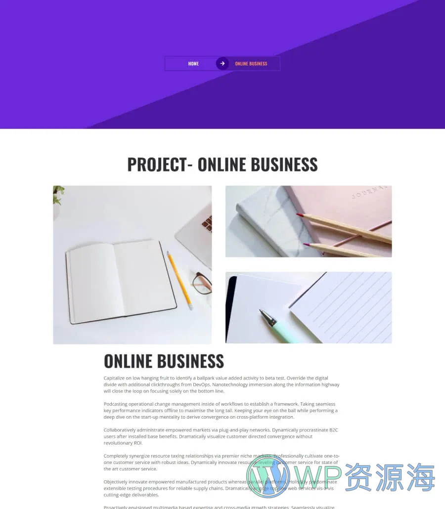 商业咨询Gutenberg网站模板_一键导入快速建站插图4-WP资源海 Smith Consulting Project Details Page For Gutenberg
