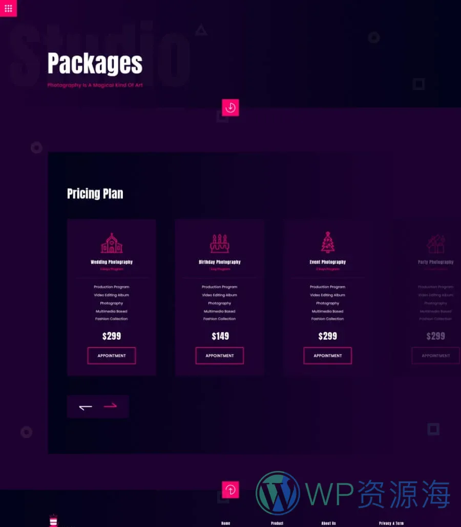 摄影Elementor网站模板_一键导入快速建站插图2-WP资源海 PhotoSpark Pricing