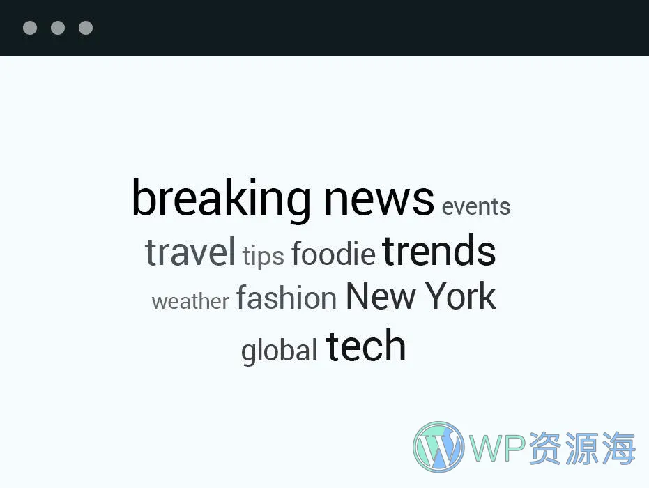 TaxoPress Pro 分类法管理 WordPress 插件插图1-WP资源海 TaxoPress Pro 分类法管理 WordPress 插件