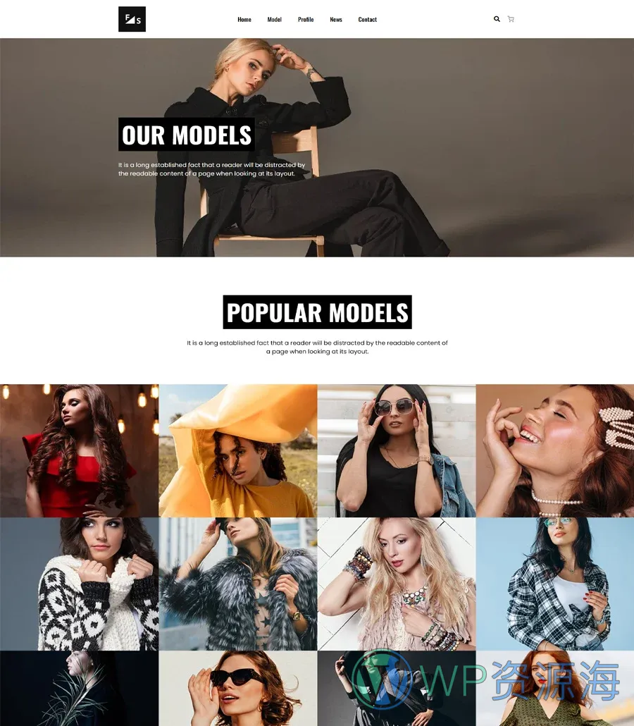 机构Gutenberg网站模板_一键导入快速建站插图3-WP资源海 Fashion and Modeling Model Page For Gutenberg