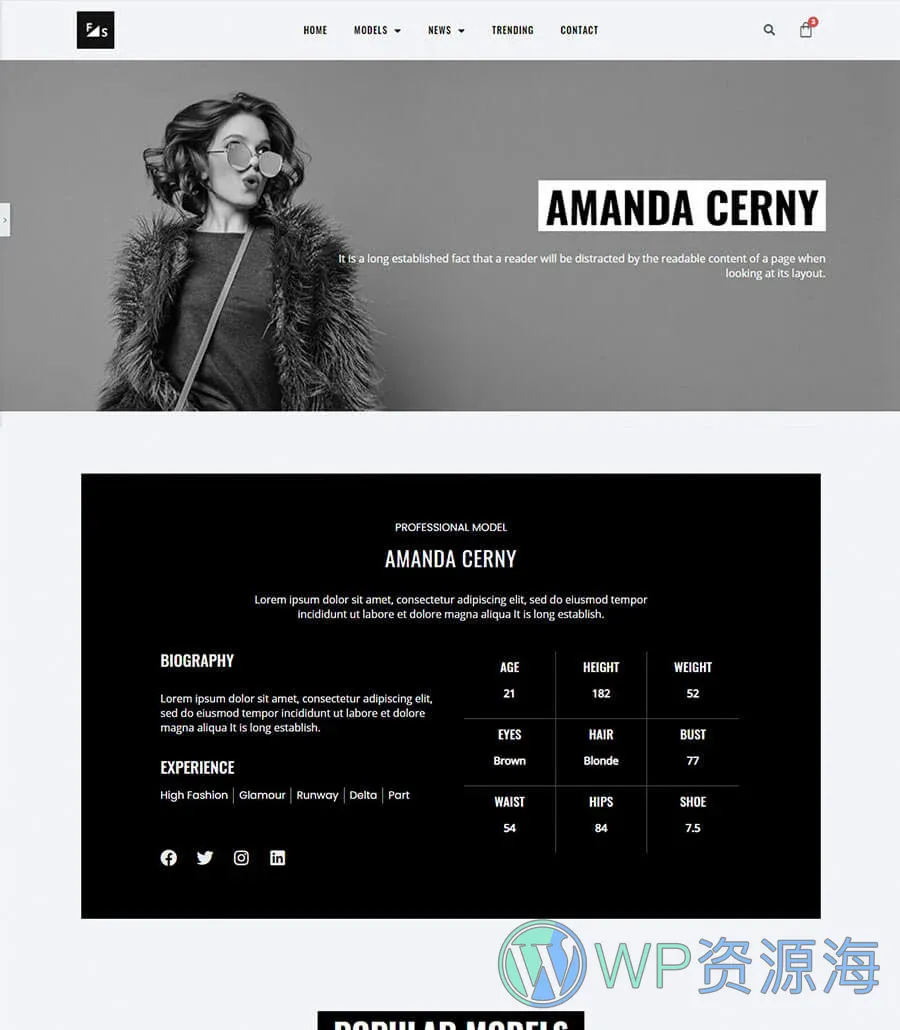 Fashion and Modeling Profile Page