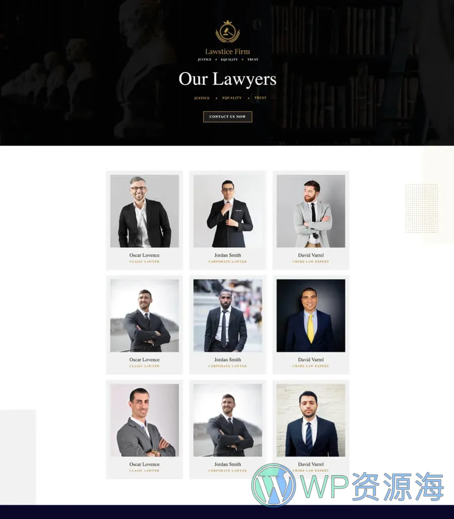律所整站Gutenberg网站模板_一键导入快速建站插图5-WP资源海 Lawstice Team Page For Gutenberg