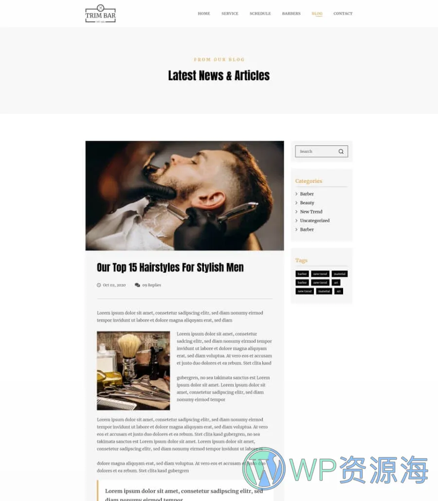 理发店Elementor网站模板_一键导入快速建站插图4-WP资源海 Trim Bar Blog Details Page